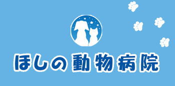 名古屋市熱田区、金山駅徒歩10分、犬・猫のことなら「ほしの動物病院」の院長ブログ